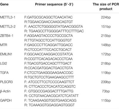 METTL3-Mediated m6A RNA Methylation of ZBTB4 Interferes With Trophoblast Invasion and Maybe Involved in RSA